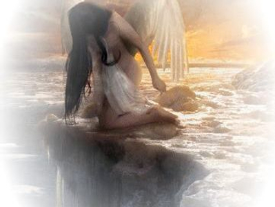 _PARADISE_ avatar