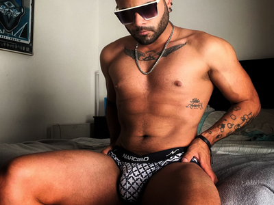 elzrd avatar