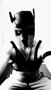 Connor_judd avatar