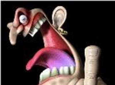 edhole68 avatar