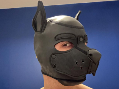 CamDogFr avatar