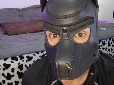 Luckymarks avatar